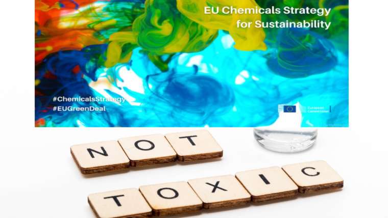 Toxic-Free EU Strategy *Webinar*