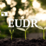 European Commission Proposal: extended phasing-in time and new guidelines for EUDR